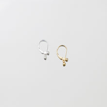 Load image into Gallery viewer, Carabiner
