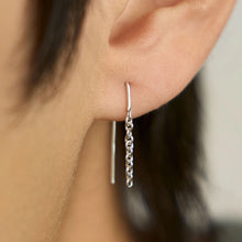 Load image into Gallery viewer, Free Earrings!
