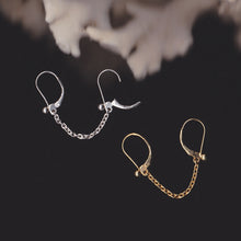 Load image into Gallery viewer, Carabiner Double
